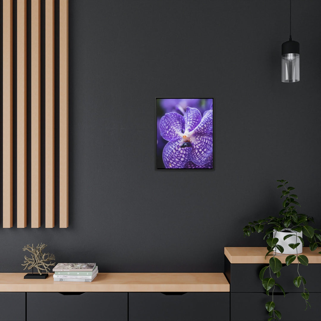 Orchid Detail - Canvas with Frame - Visiting This World