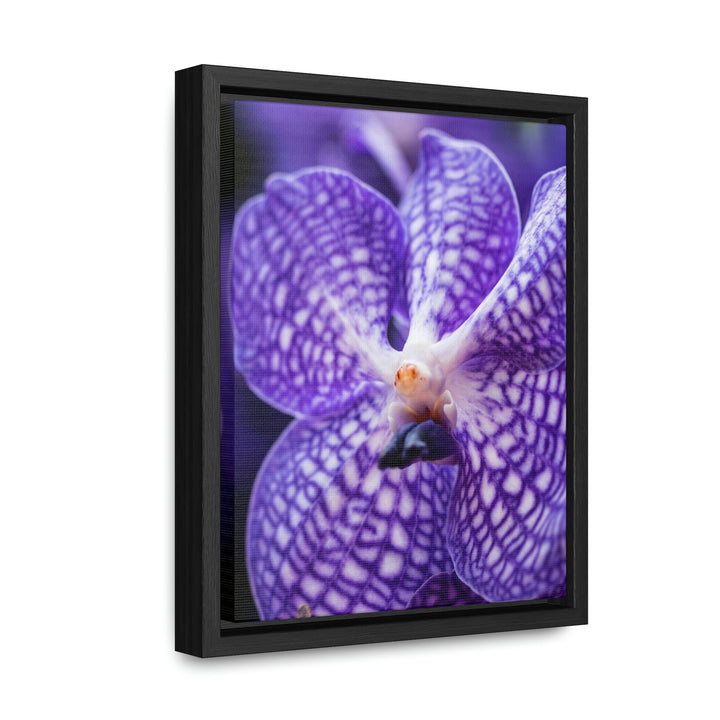 Orchid Detail - Canvas with Frame - Visiting This World