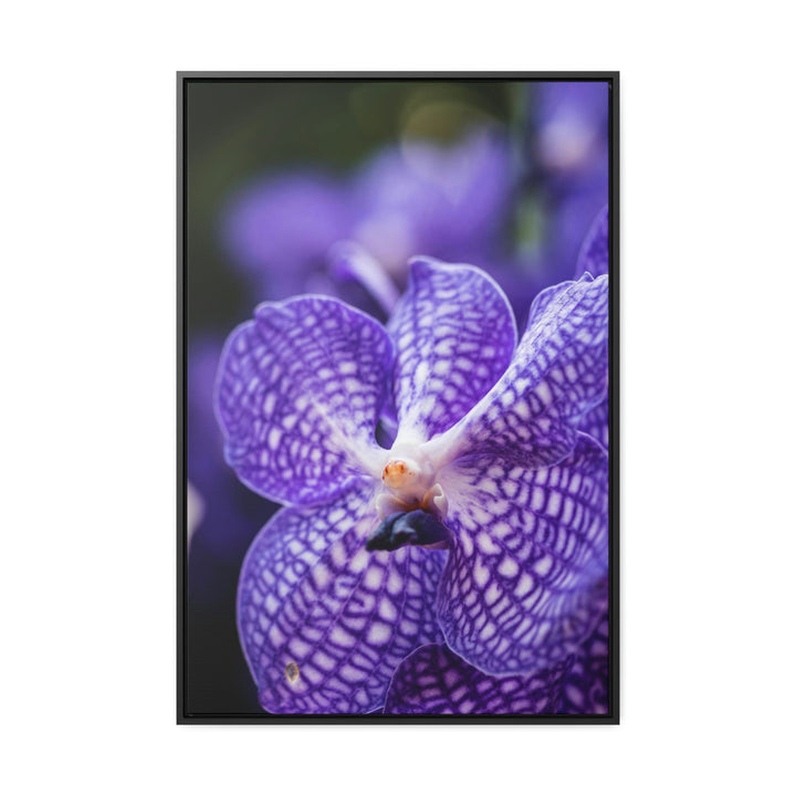 Orchid Detail - Canvas with Frame - Visiting This World