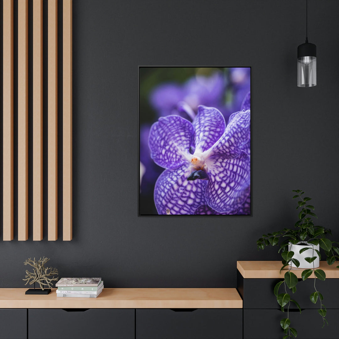 Orchid Detail - Canvas with Frame - Visiting This World