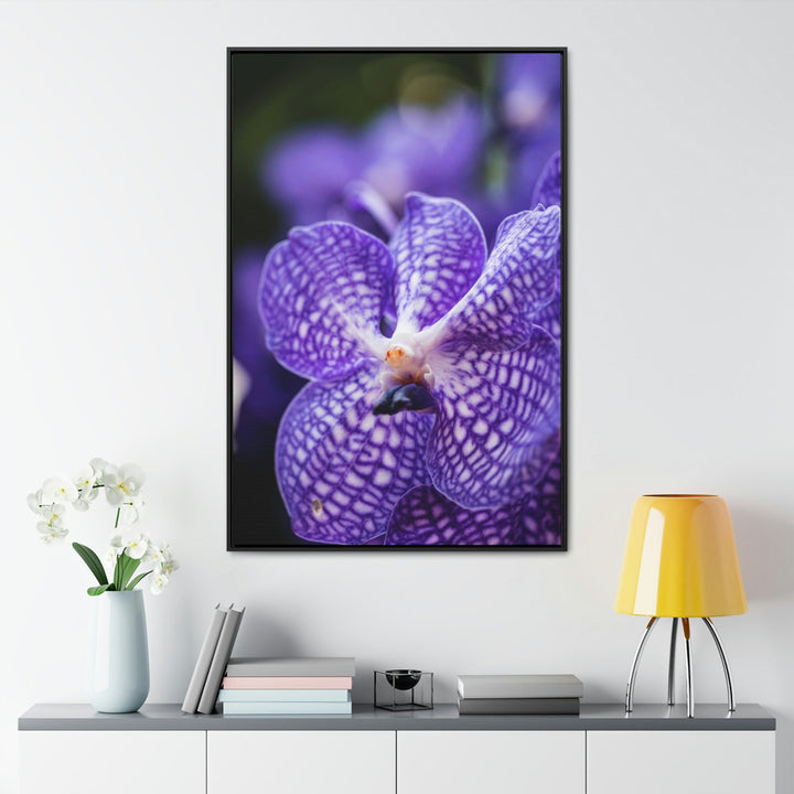 Orchid Detail - Canvas with Frame - Visiting This World