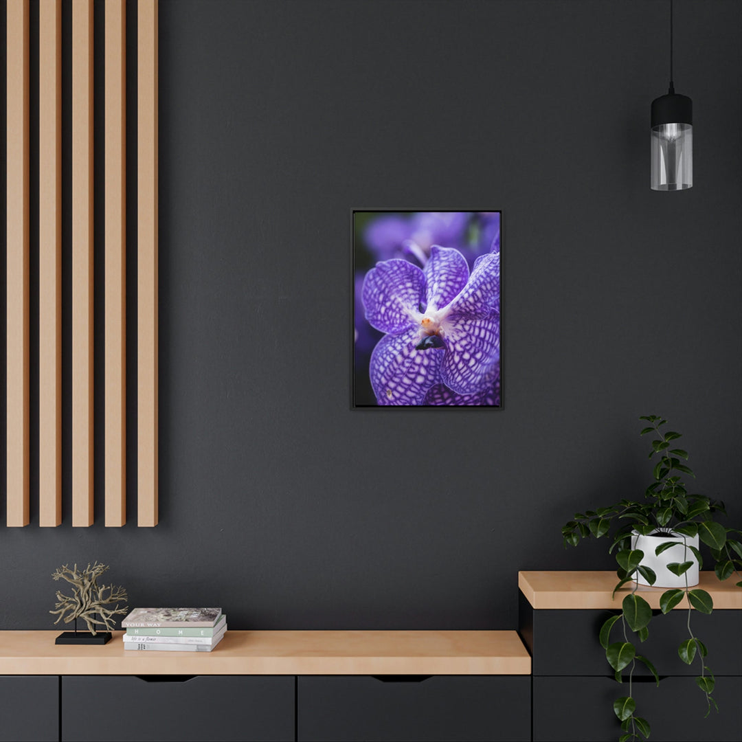 Orchid Detail - Canvas with Frame - Visiting This World