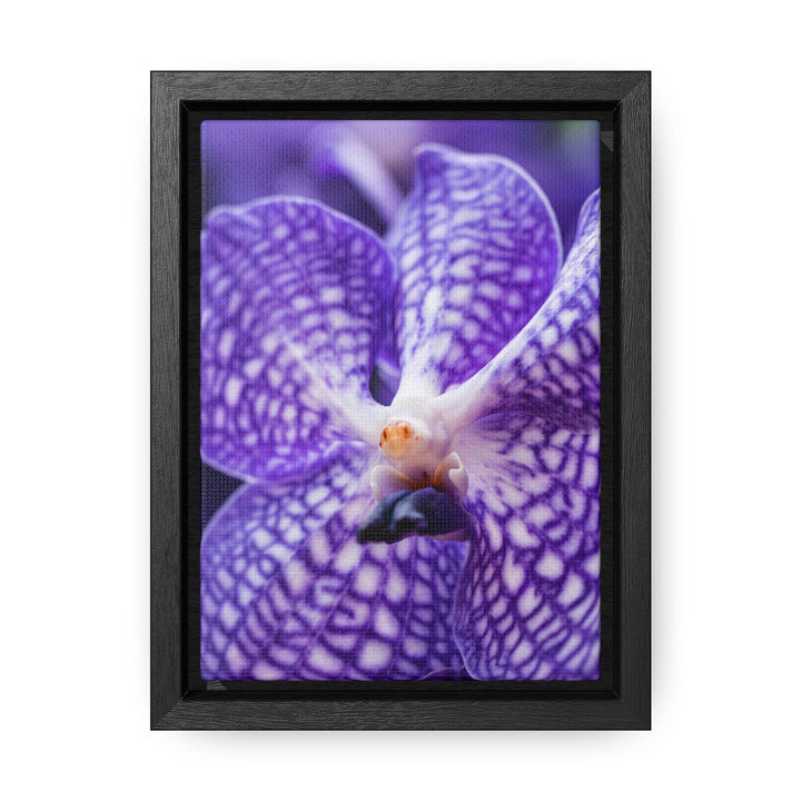 Orchid Detail - Canvas with Frame - Visiting This World