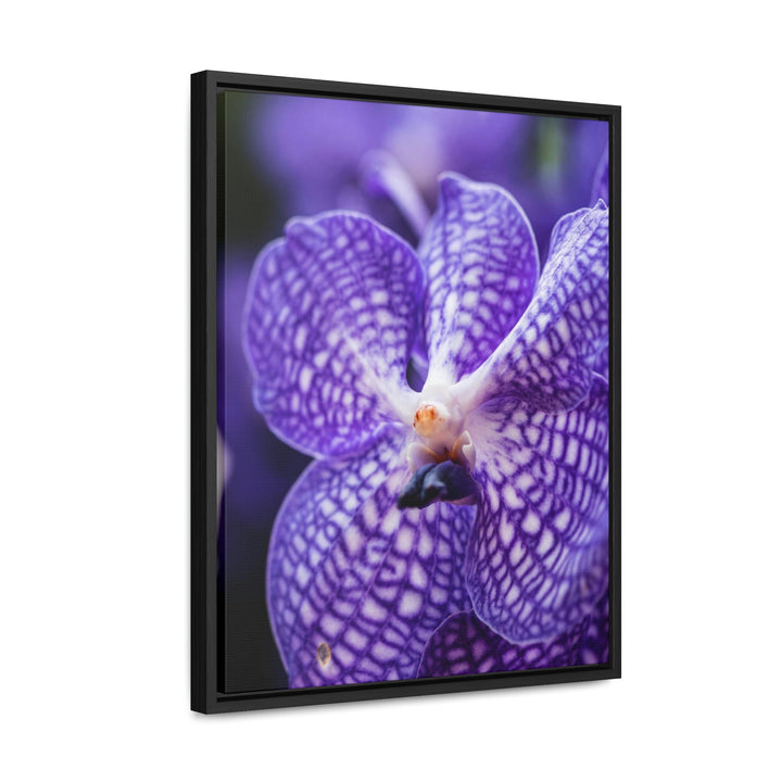 Orchid Detail - Canvas with Frame - Visiting This World