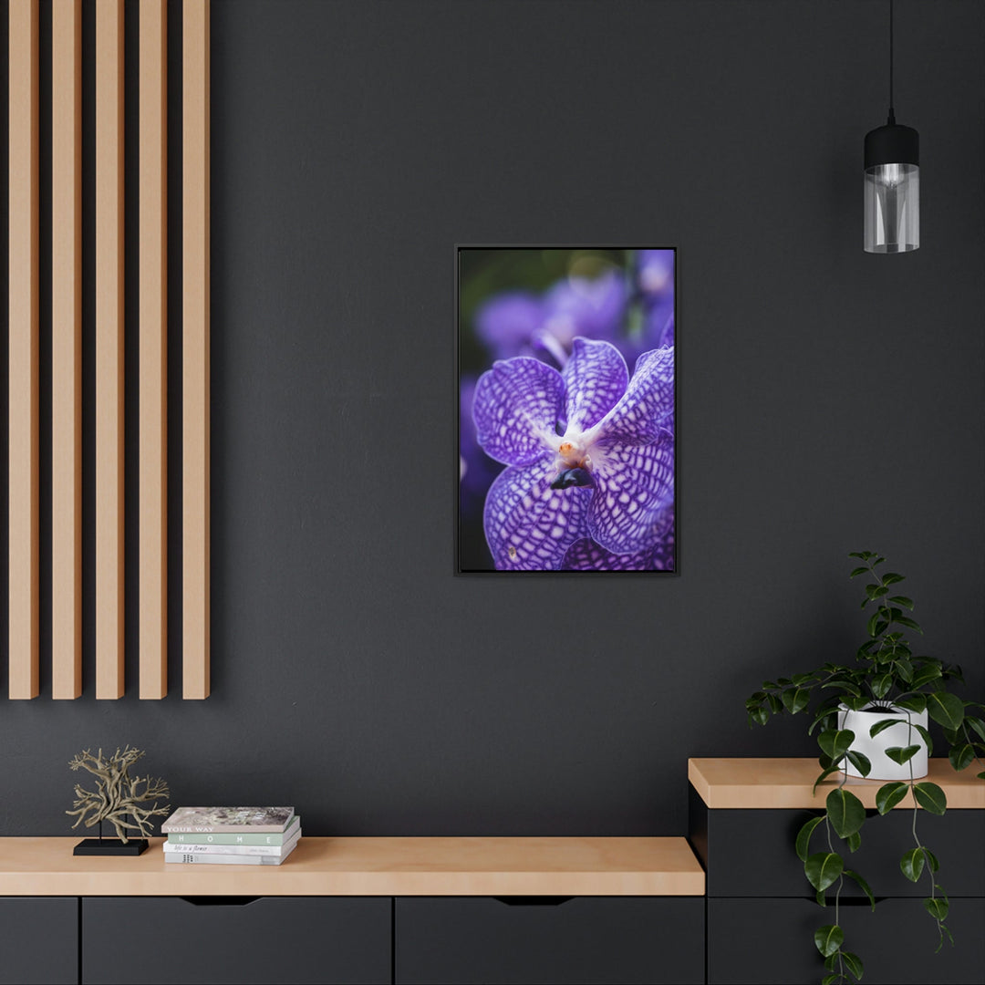 Orchid Detail - Canvas with Frame - Visiting This World