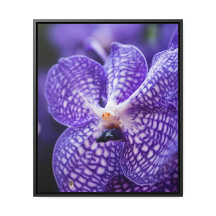 Orchid Detail - Canvas with Frame - Visiting This World