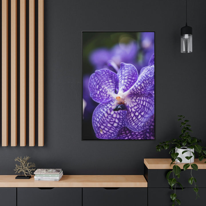 Orchid Detail - Canvas with Frame - Visiting This World