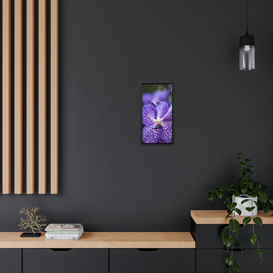 Orchid Detail - Canvas with Frame - Visiting This World