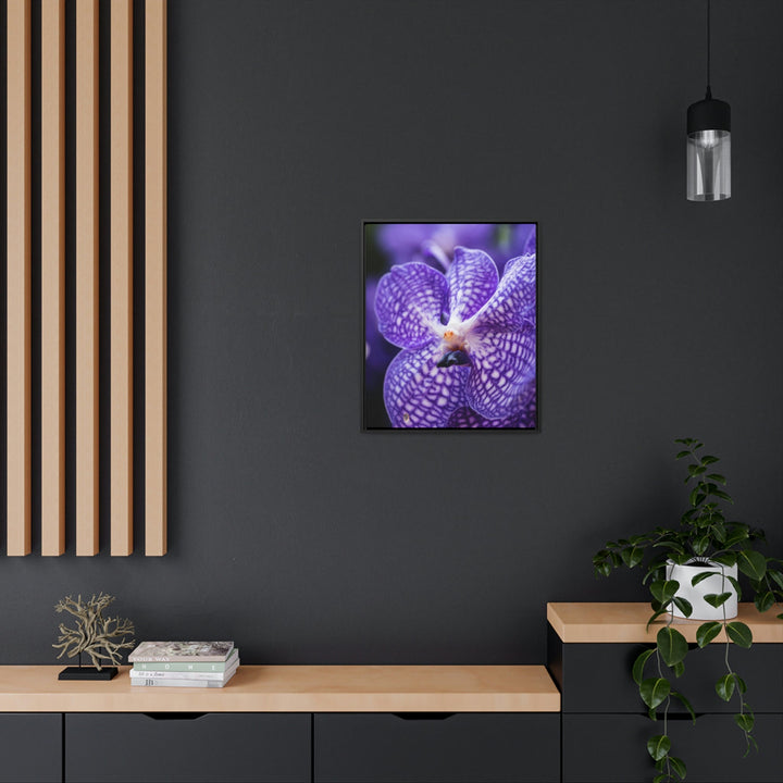 Orchid Detail - Canvas with Frame - Visiting This World