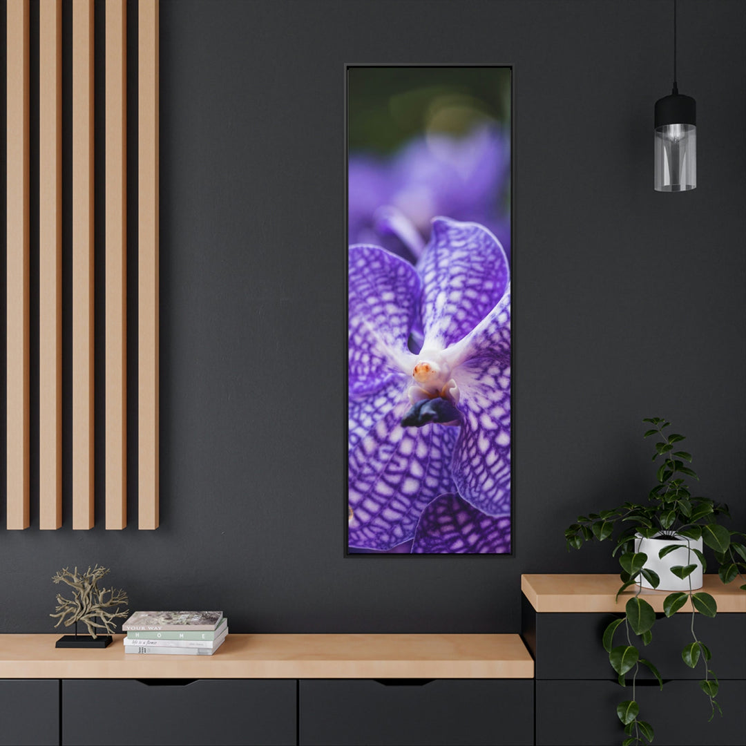 Orchid Detail - Canvas with Frame - Visiting This World