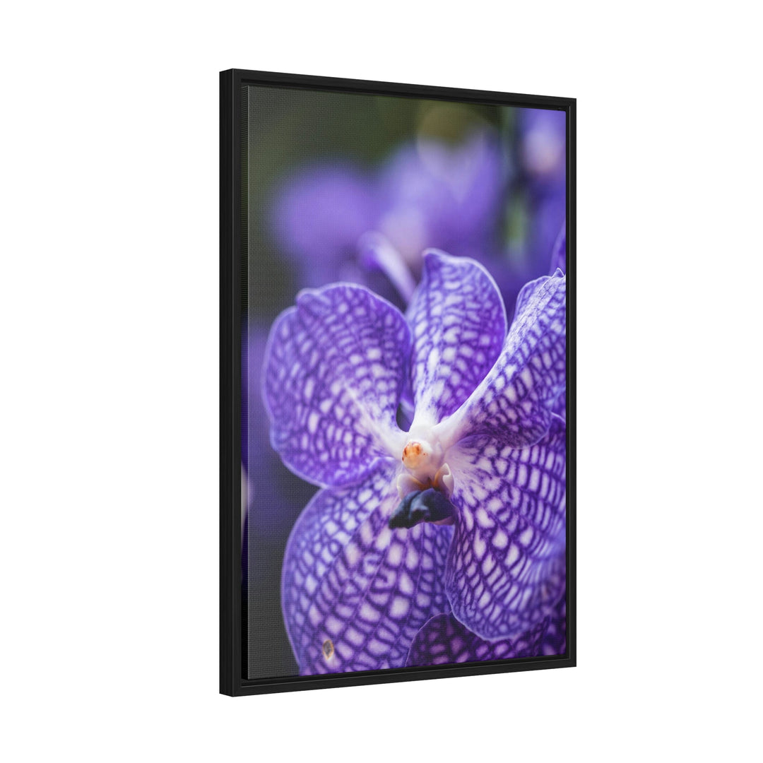 Orchid Detail - Canvas with Frame - Visiting This World