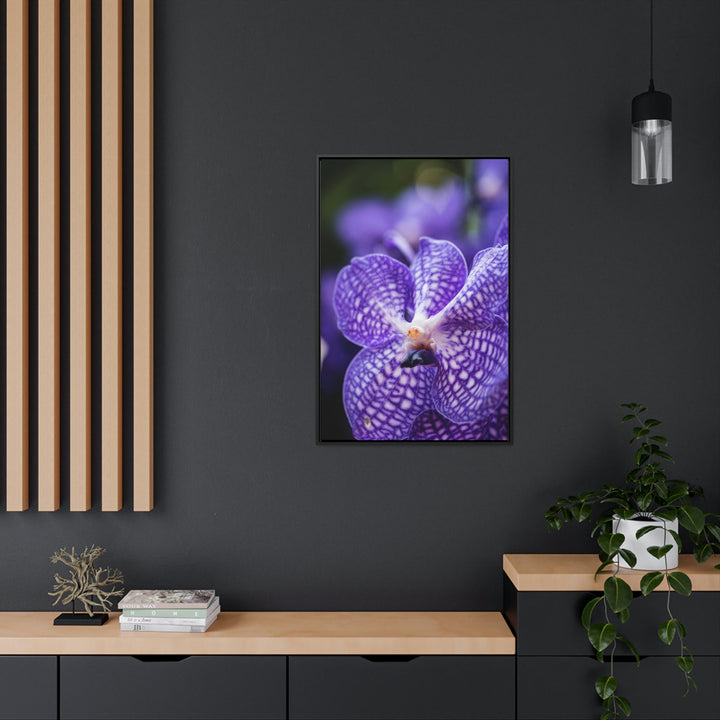 Orchid Detail - Canvas with Frame - Visiting This World