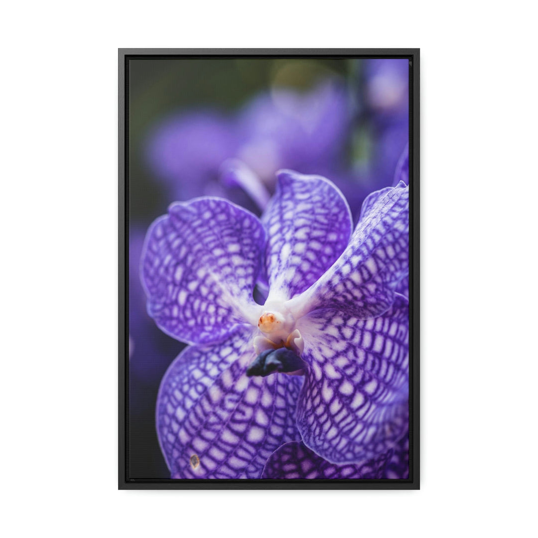 Orchid Detail - Canvas with Frame - Visiting This World