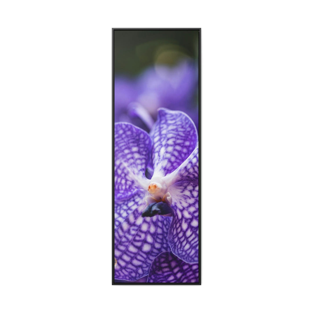 Orchid Detail - Canvas with Frame - Visiting This World