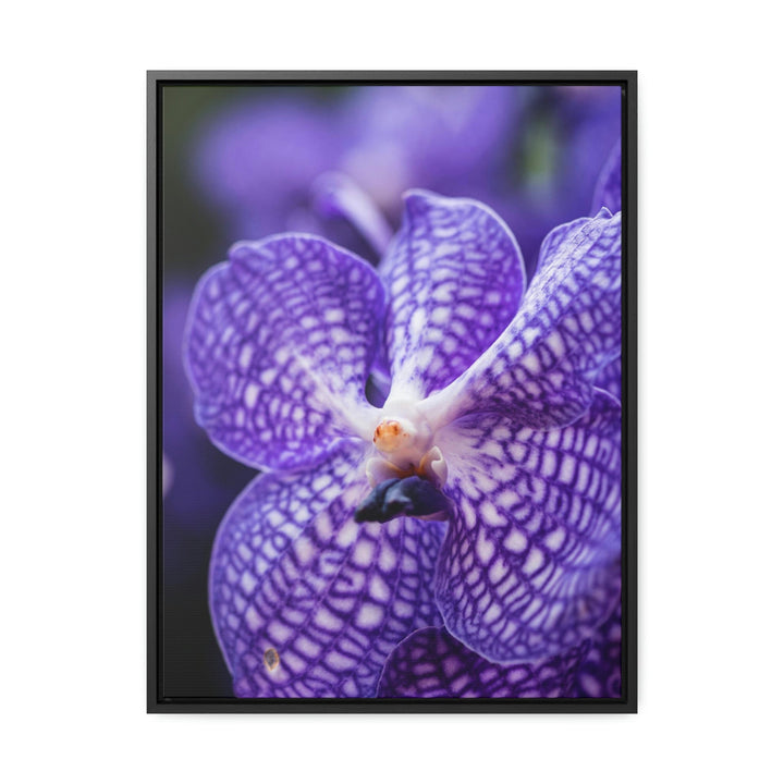 Orchid Detail - Canvas with Frame - Visiting This World