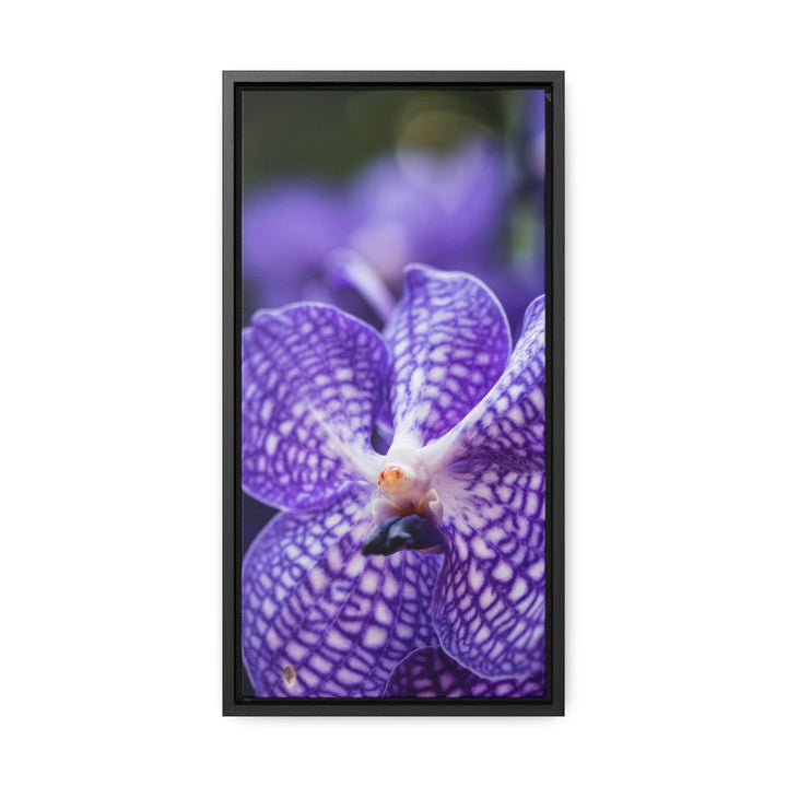 Orchid Detail - Canvas with Frame - Visiting This World