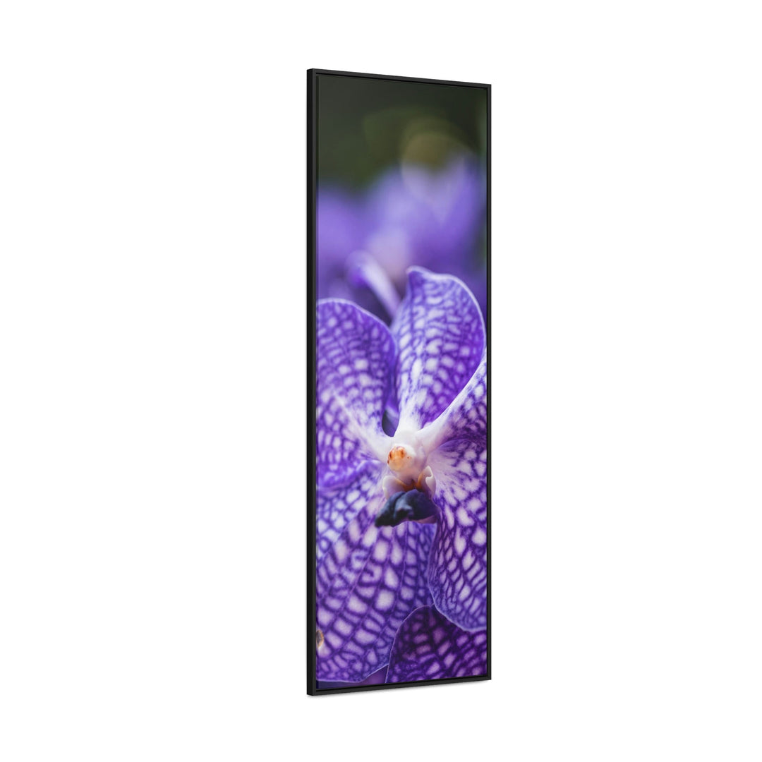 Orchid Detail - Canvas with Frame - Visiting This World