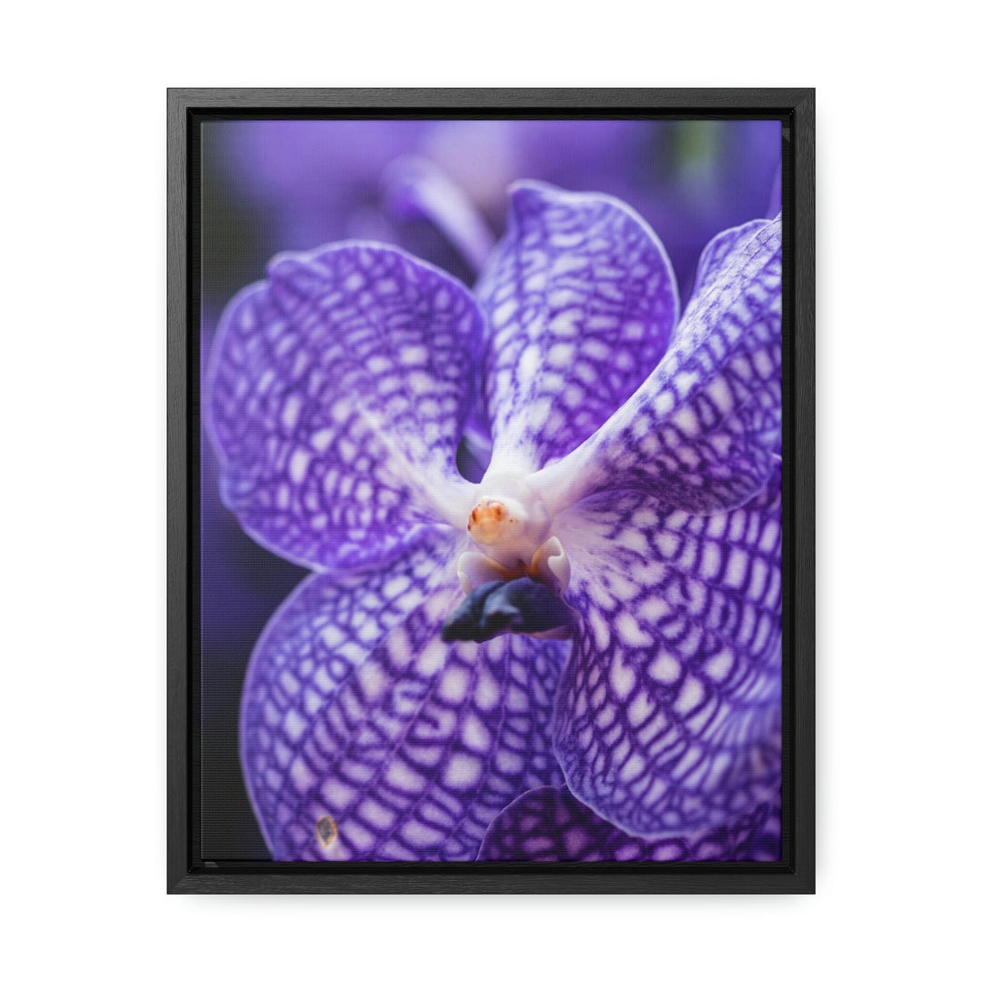 Orchid Detail - Canvas with Frame - Visiting This World