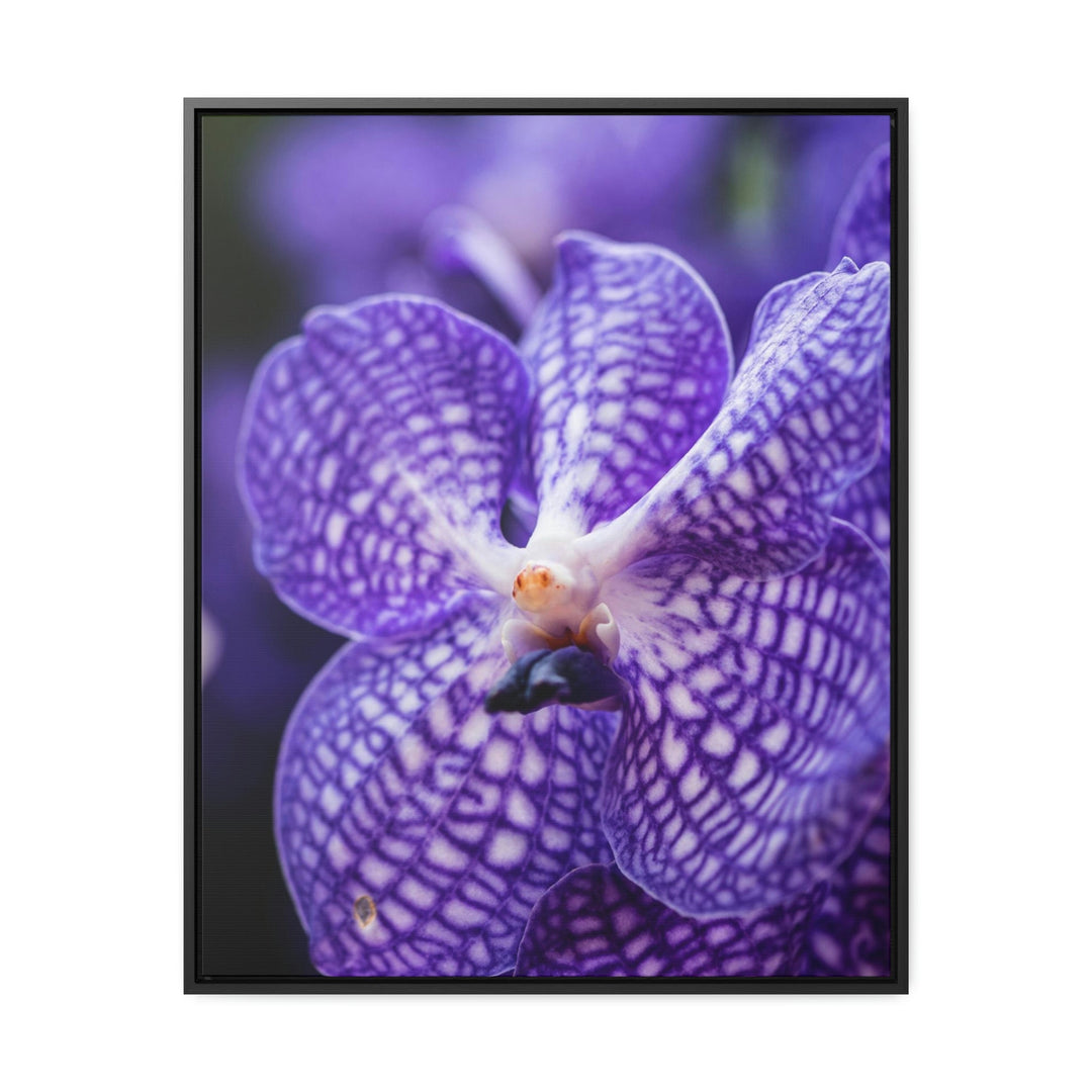 Orchid Detail - Canvas with Frame - Visiting This World