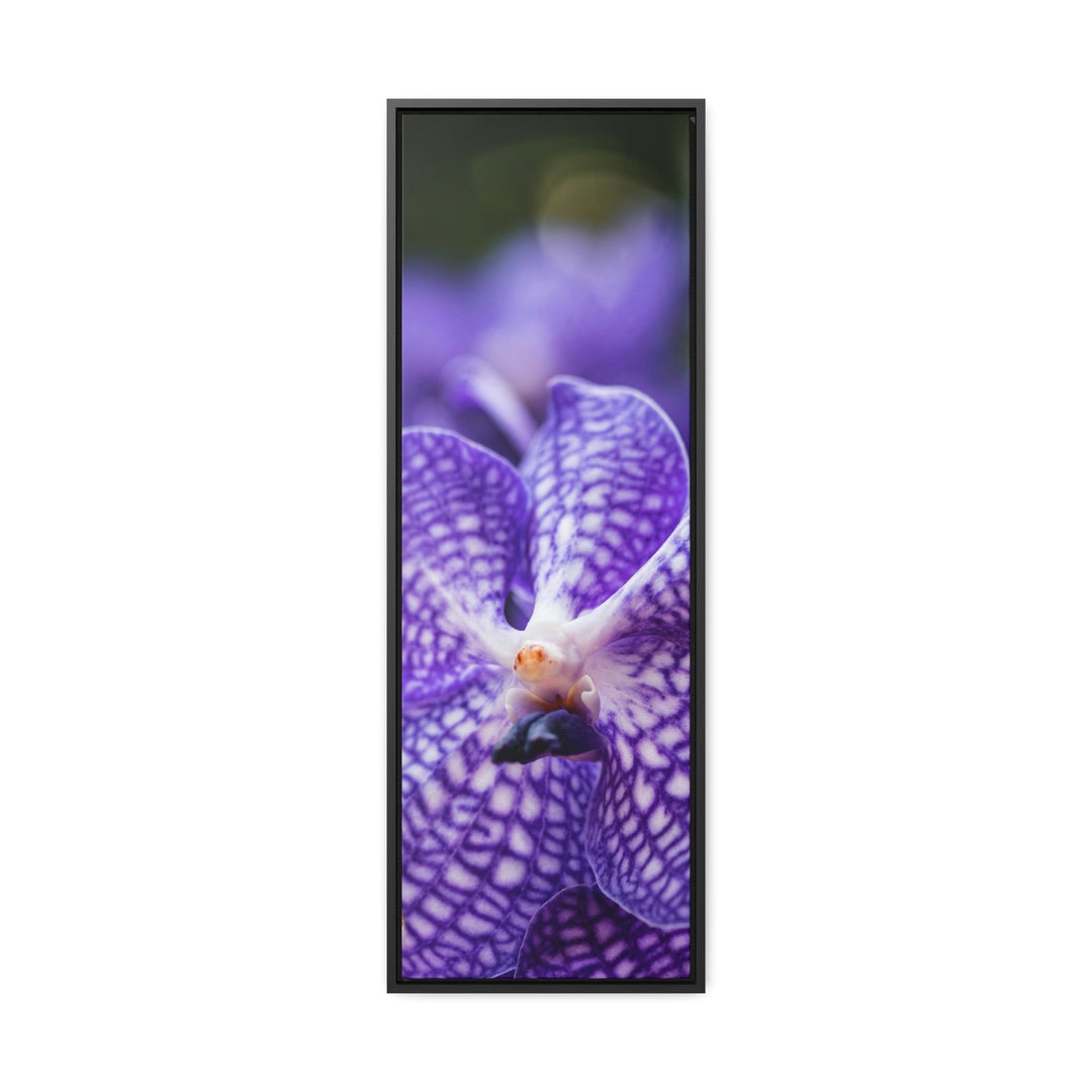 Orchid Detail - Canvas with Frame - Visiting This World