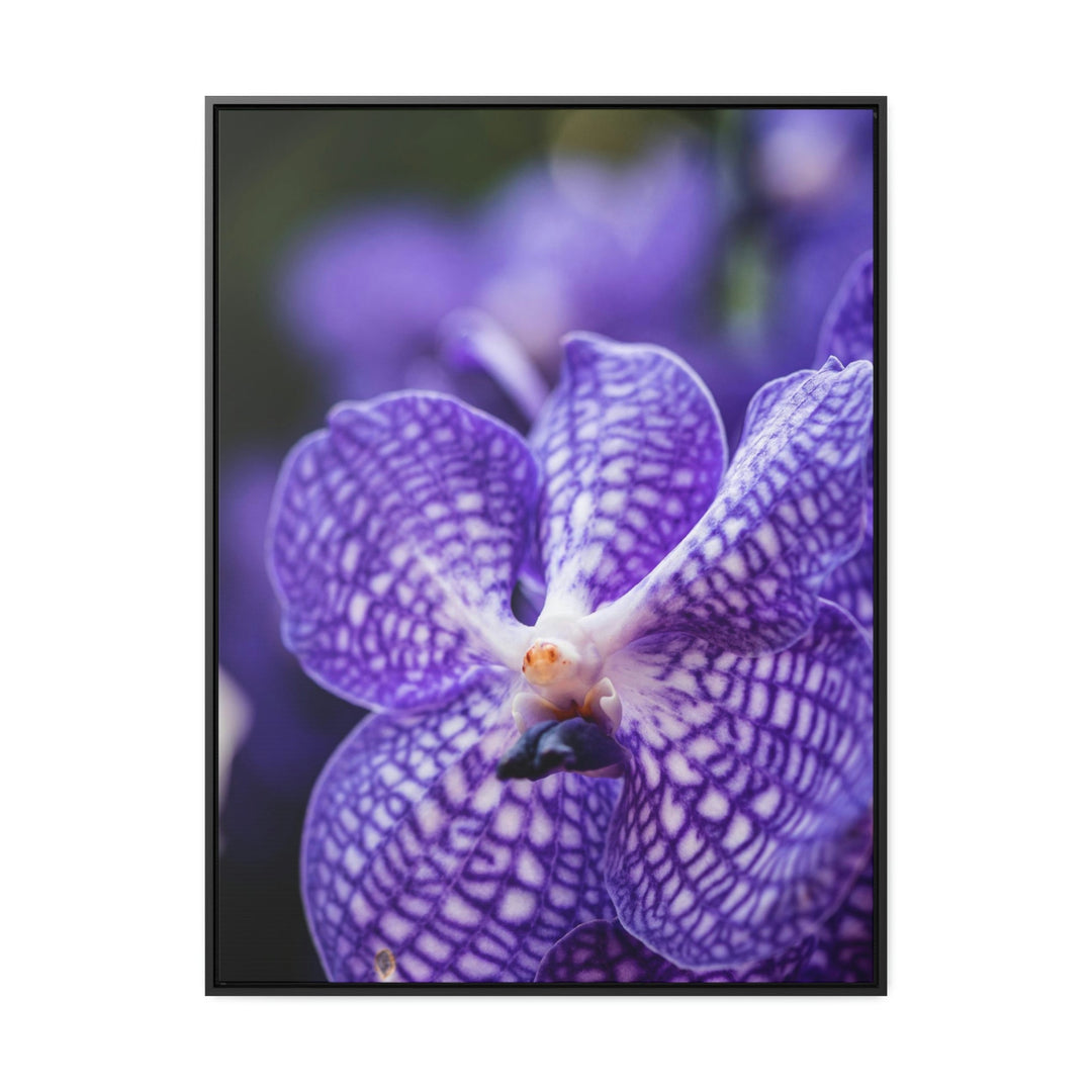 Orchid Detail - Canvas with Frame - Visiting This World