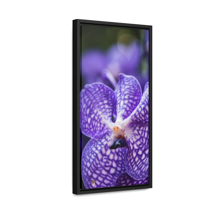 Orchid Detail - Canvas with Frame - Visiting This World