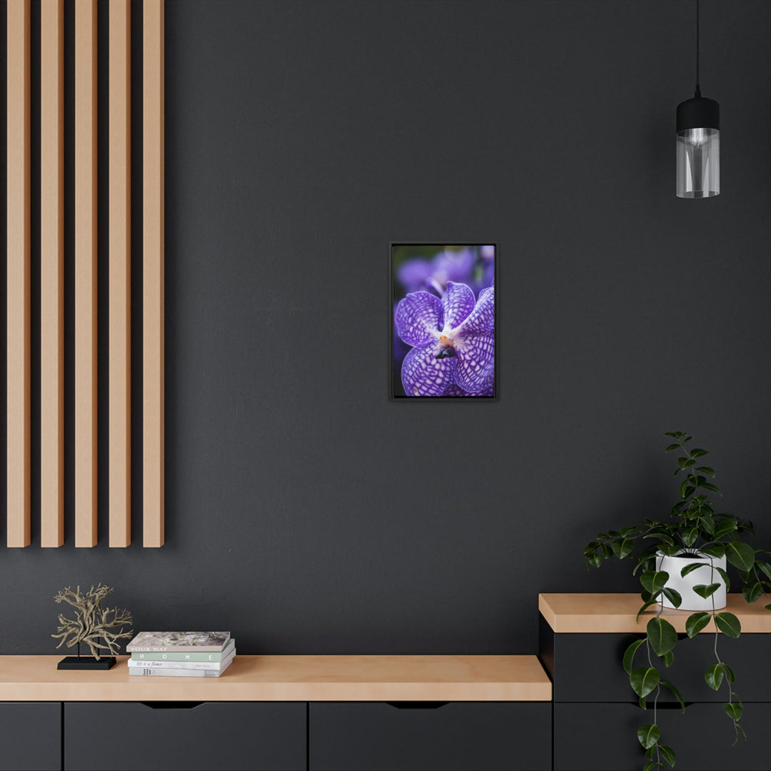 Orchid Detail - Canvas with Frame - Visiting This World