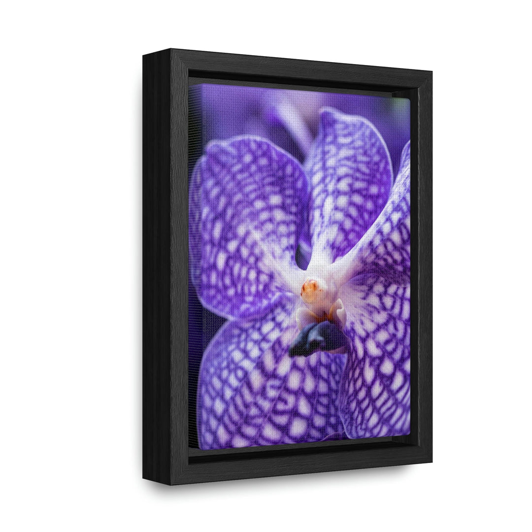 Orchid Detail - Canvas with Frame - Visiting This World