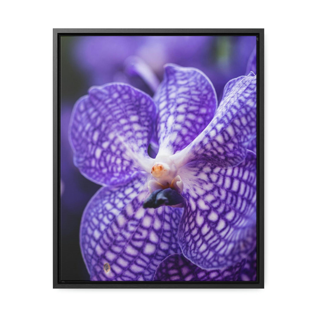 Orchid Detail - Canvas with Frame - Visiting This World