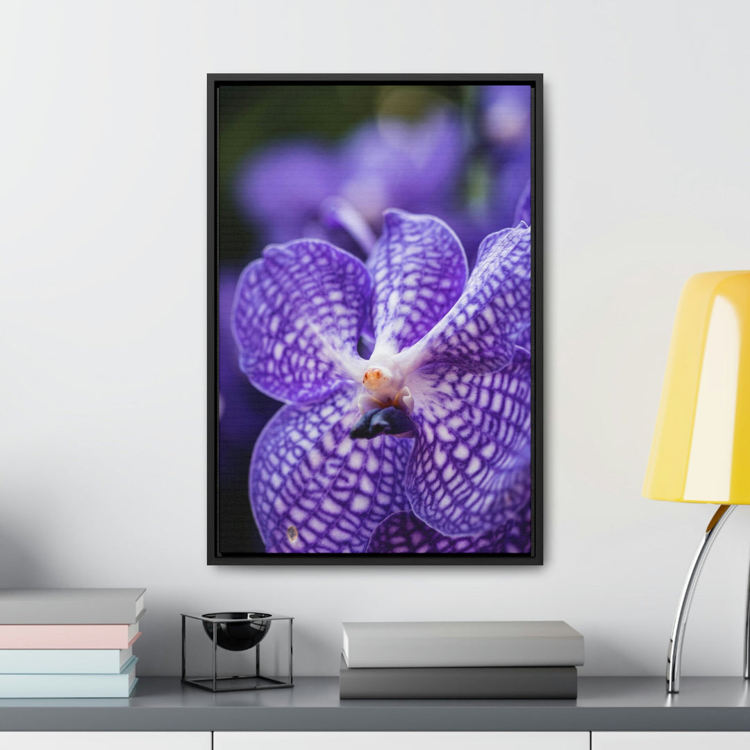 Orchid Detail - Canvas with Frame - Visiting This World