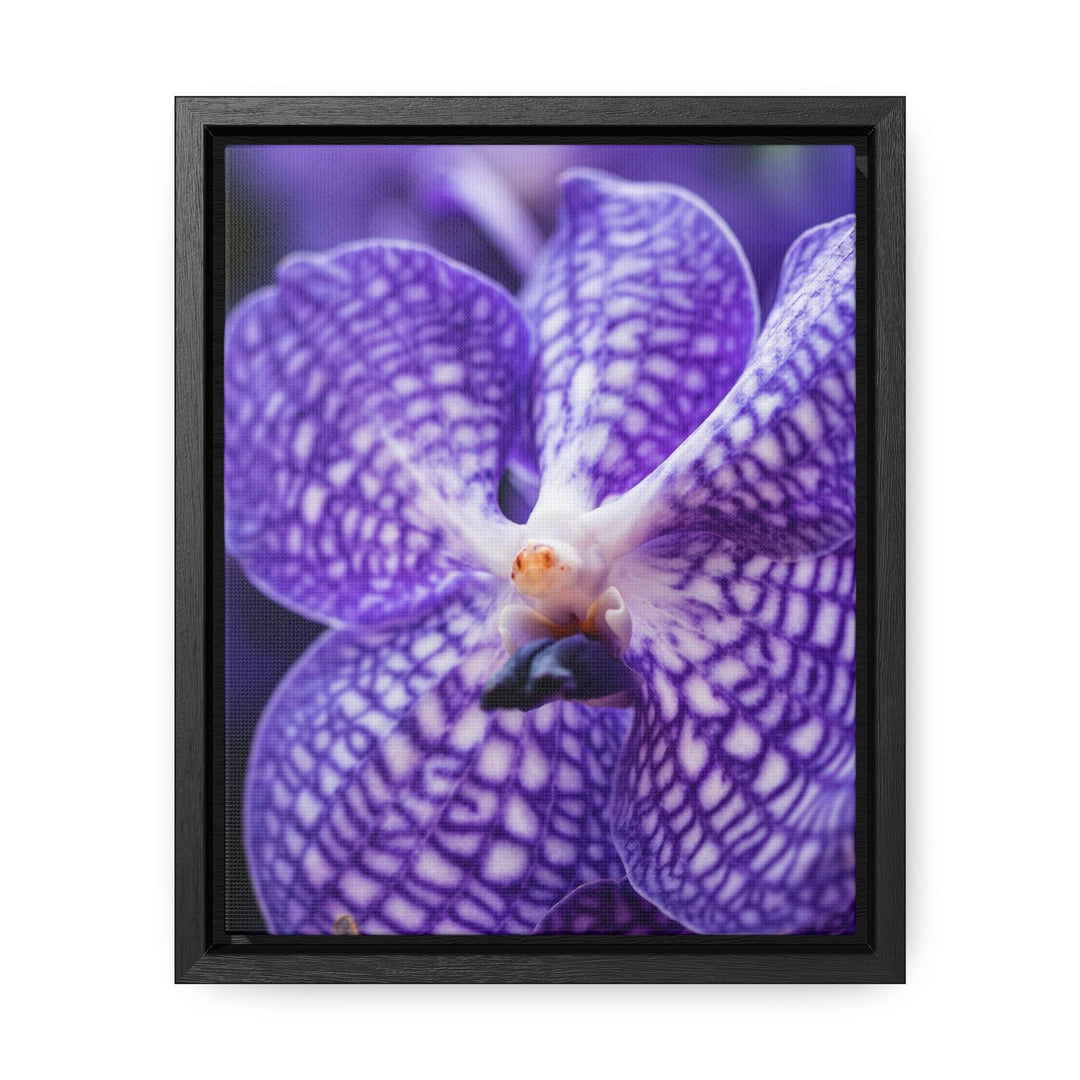 Orchid Detail - Canvas with Frame - Visiting This World