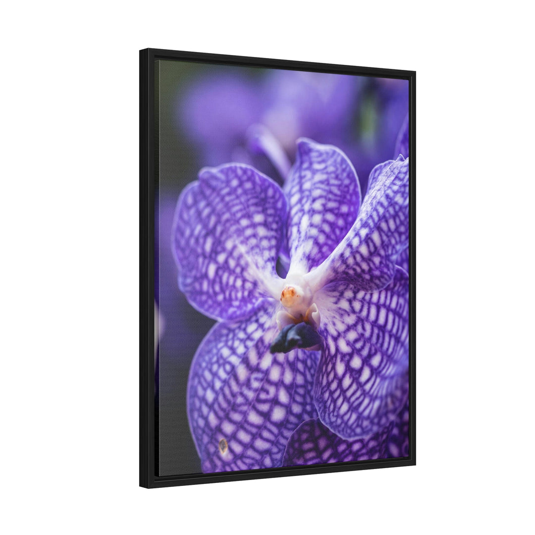 Orchid Detail - Canvas with Frame - Visiting This World