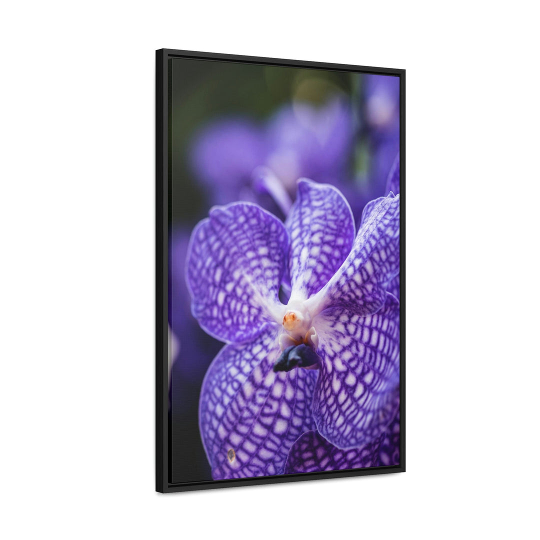 Orchid Detail - Canvas with Frame - Visiting This World