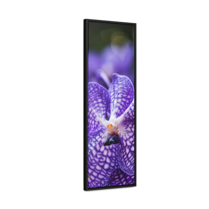 Orchid Detail - Canvas with Frame - Visiting This World