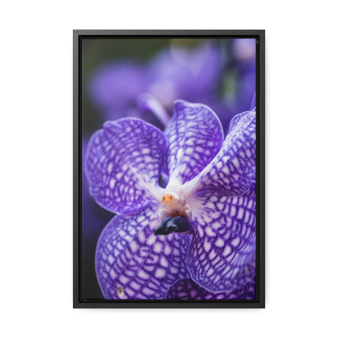 Orchid Detail - Canvas with Frame - Visiting This World