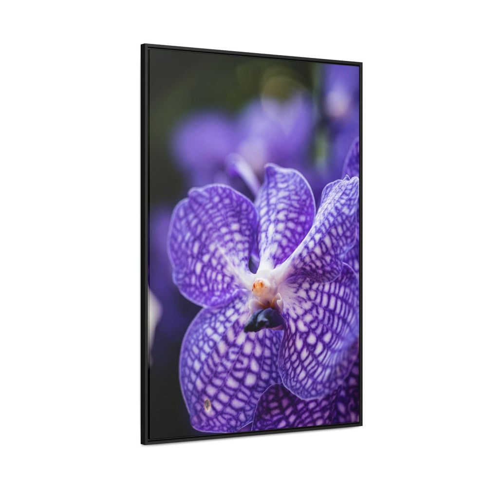 Orchid Detail - Canvas with Frame - Visiting This World