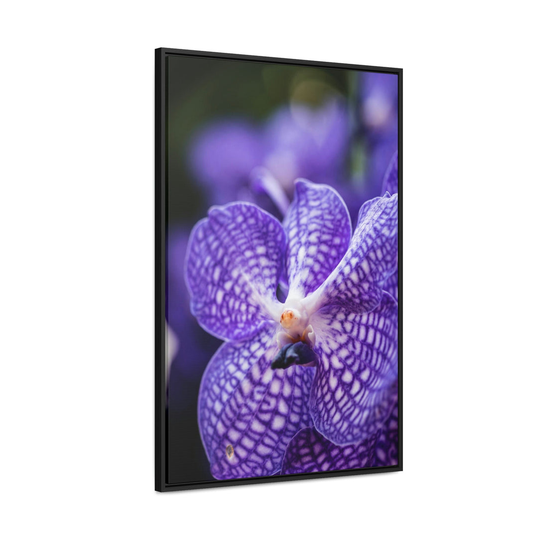 Orchid Detail - Canvas with Frame - Visiting This World