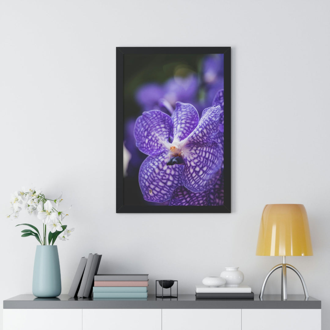 Orchid Detail - Framed Print - Visiting This World