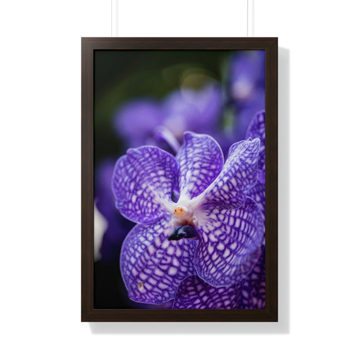 Orchid Detail - Framed Print - Visiting This World