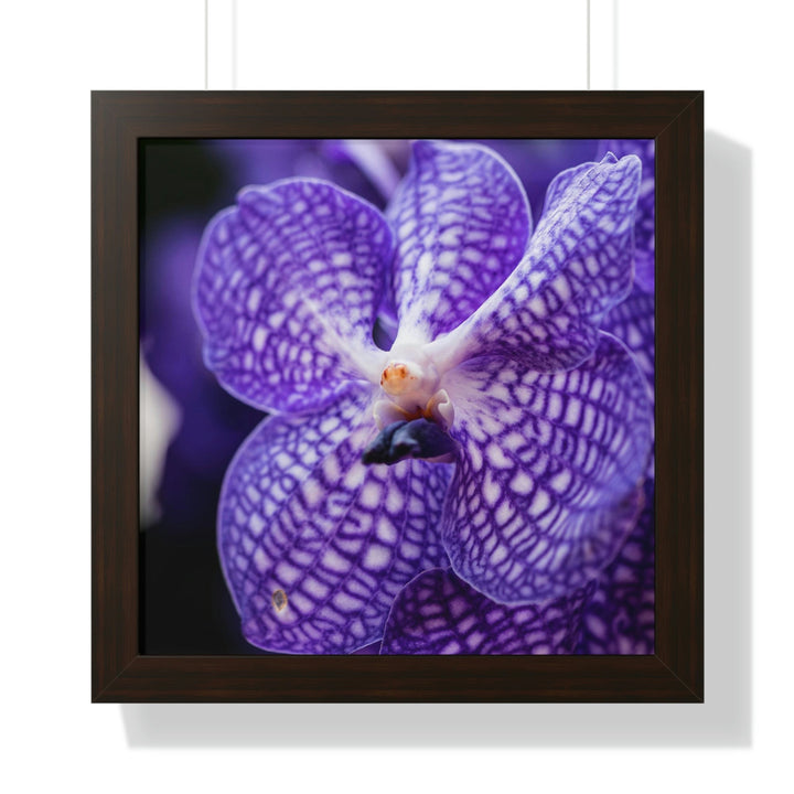 Orchid Detail - Framed Print - Visiting This World