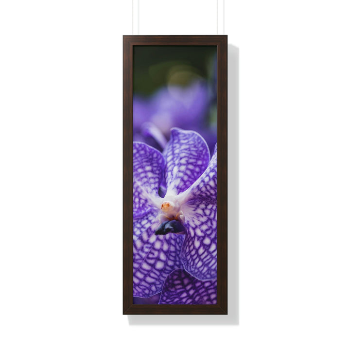 Orchid Detail - Framed Print - Visiting This World