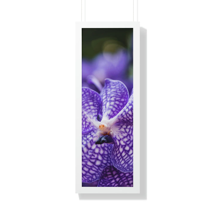 Orchid Detail - Framed Print - Visiting This World