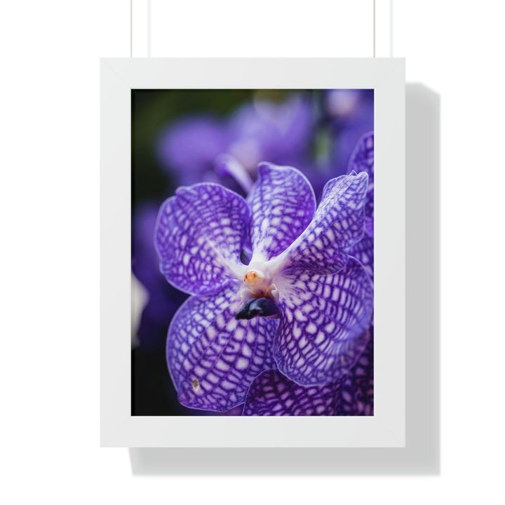 Orchid Detail - Framed Print - Visiting This World