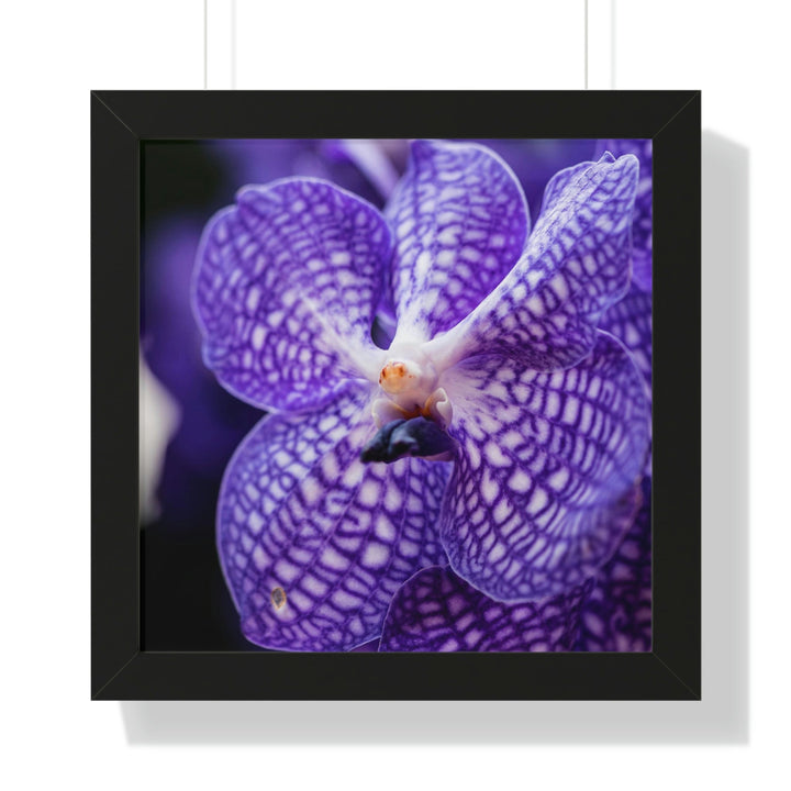 Orchid Detail - Framed Print - Visiting This World