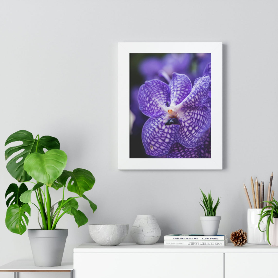 Orchid Detail - Framed Print - Visiting This World