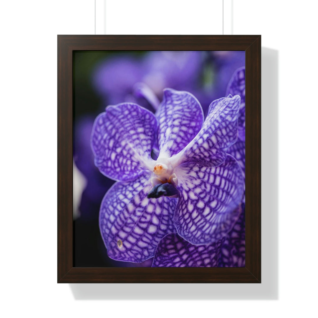 Orchid Detail - Framed Print - Visiting This World