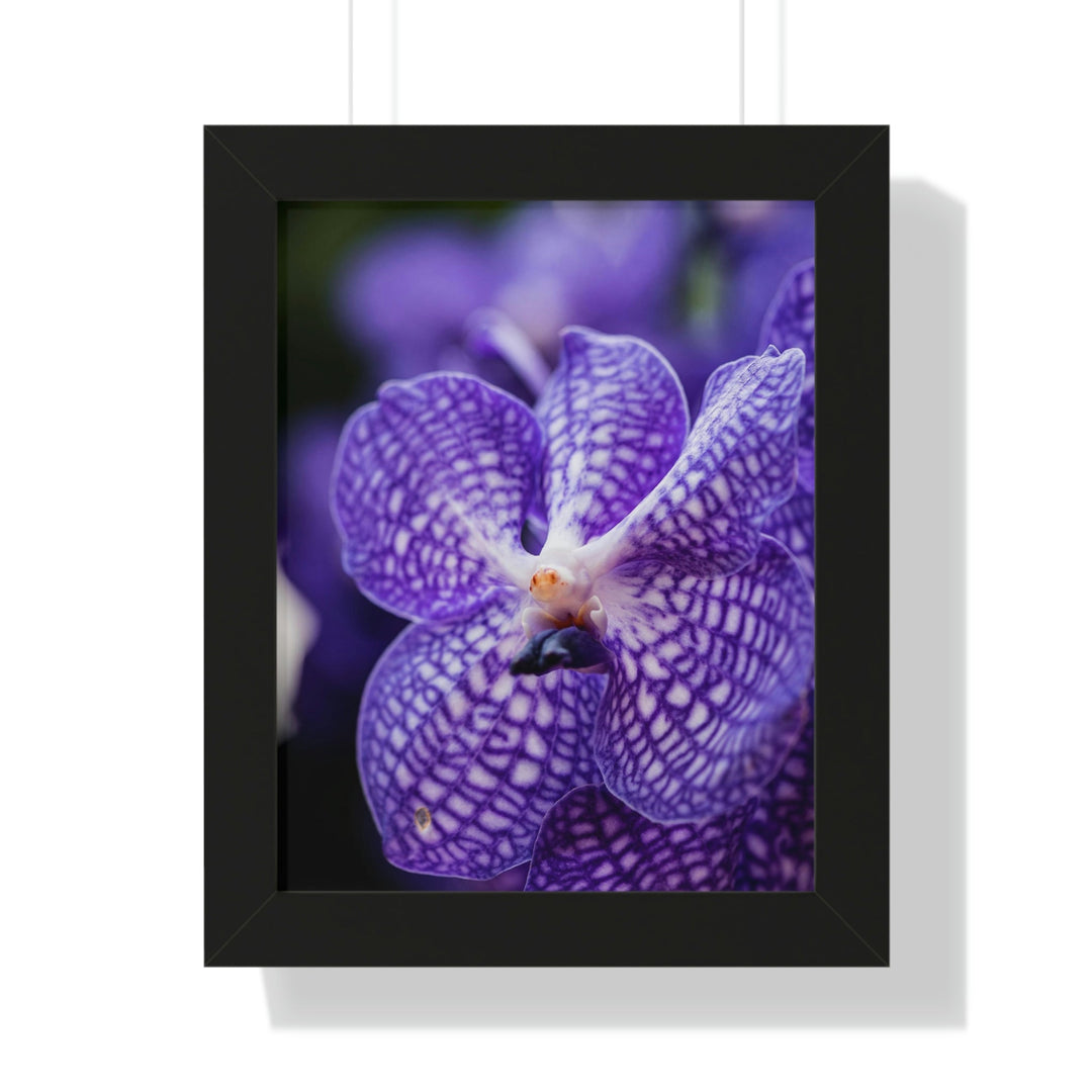 Orchid Detail - Framed Print - Visiting This World