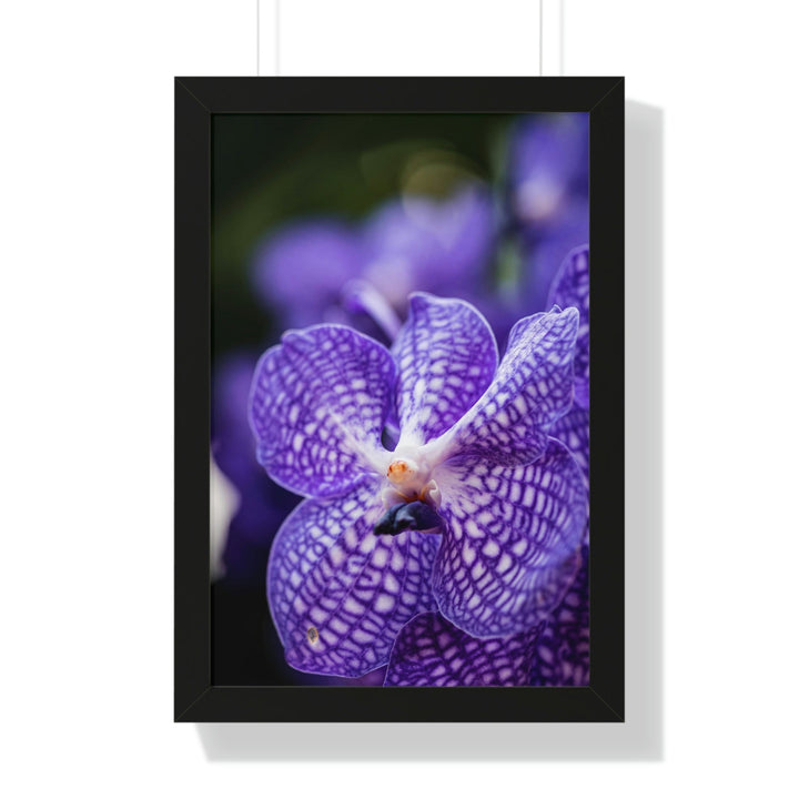 Orchid Detail - Framed Print - Visiting This World