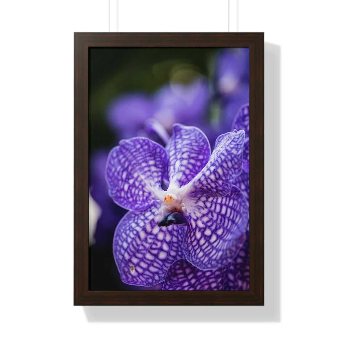 Orchid Detail - Framed Print - Visiting This World