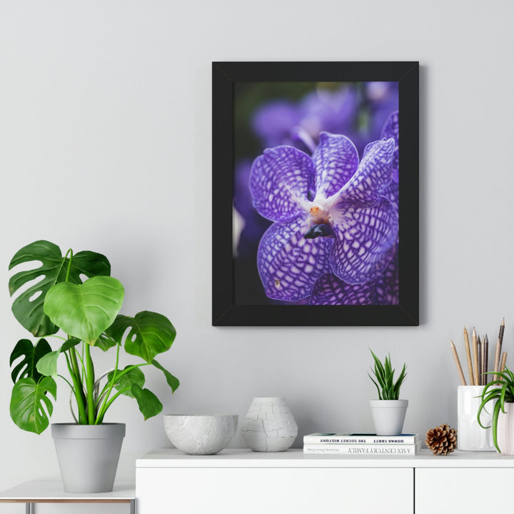 Orchid Detail - Framed Print - Visiting This World